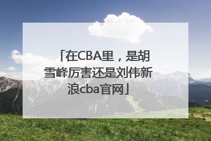 在CBA里，是胡雪峰厉害还是刘伟新浪cba官网