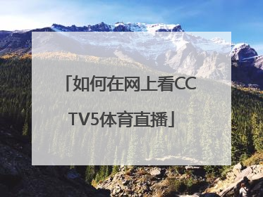 如何在网上看CCTV5体育直播