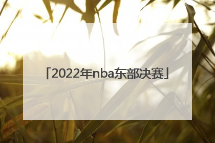 「2022年nba东部决赛」2022年nba东部决赛结果