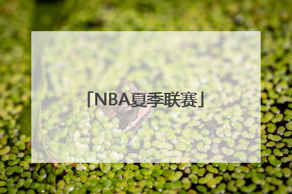 「NBA夏季联赛」nba夏季联赛直播在线观看免费